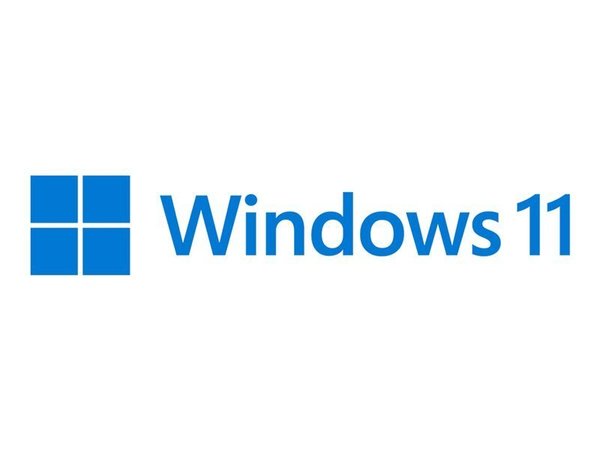 Microsoft Windows 11 Profesional (DVD)